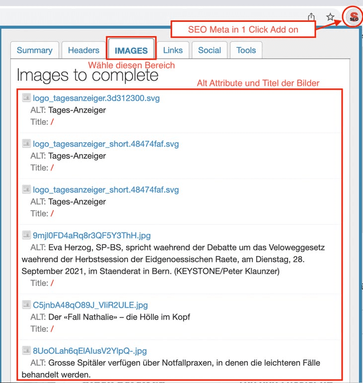 Bild von SEO Meta mit Alt-Attribute von Bildern