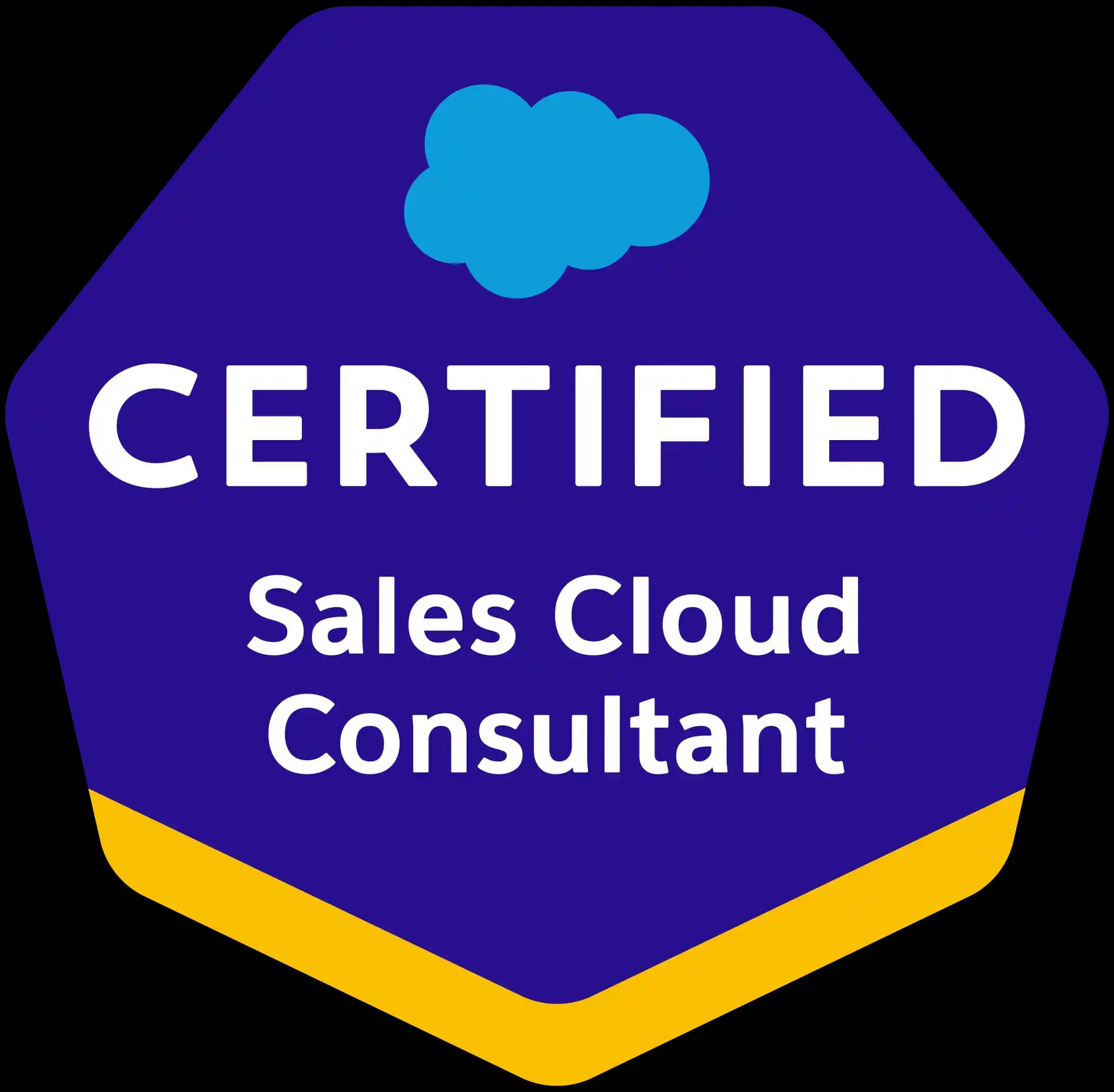 Salesforce Sales Cloud Consultant