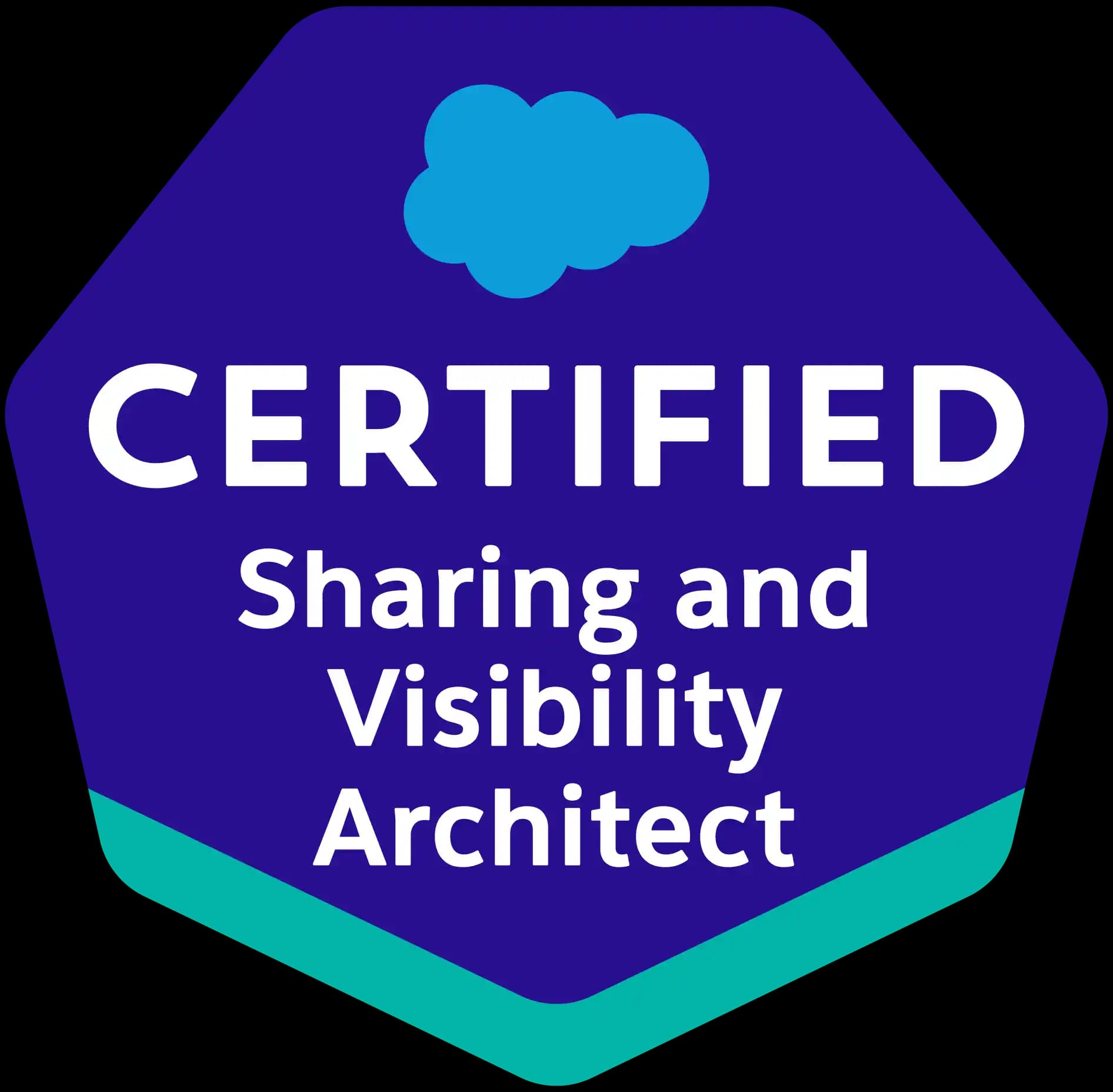 Salesforce Sharing and Visibility Architect