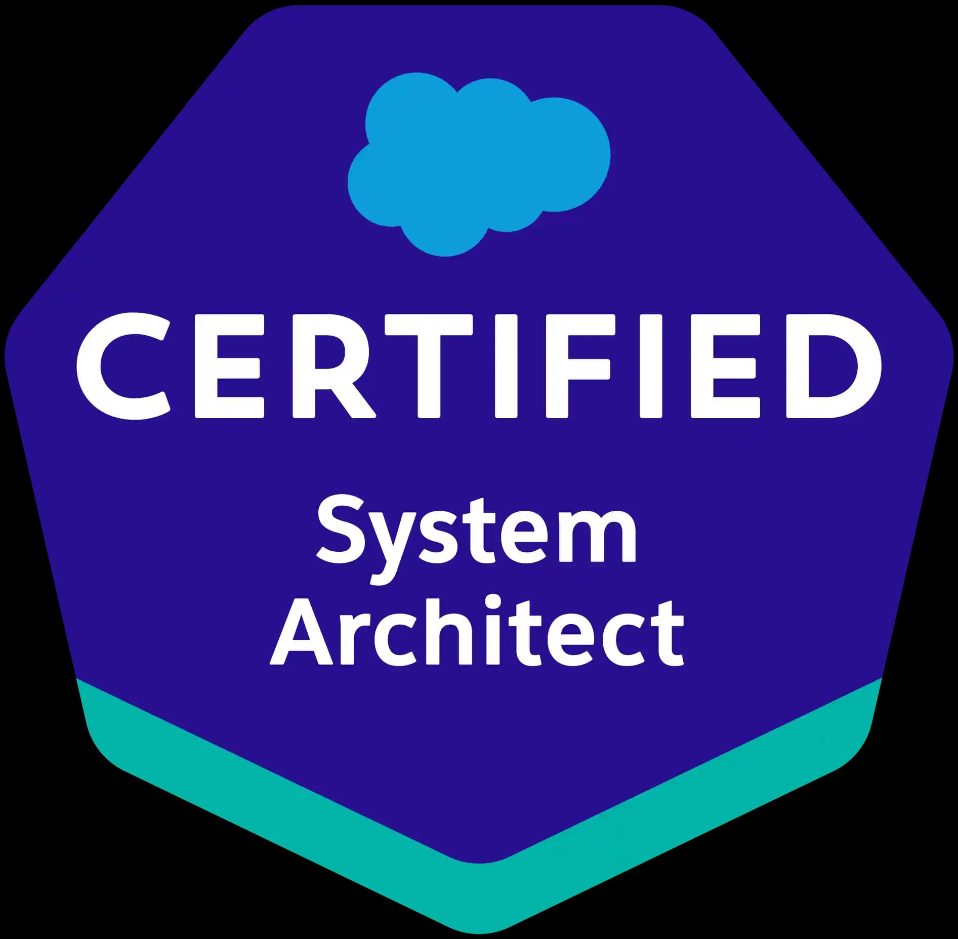 Salesforce System Architect