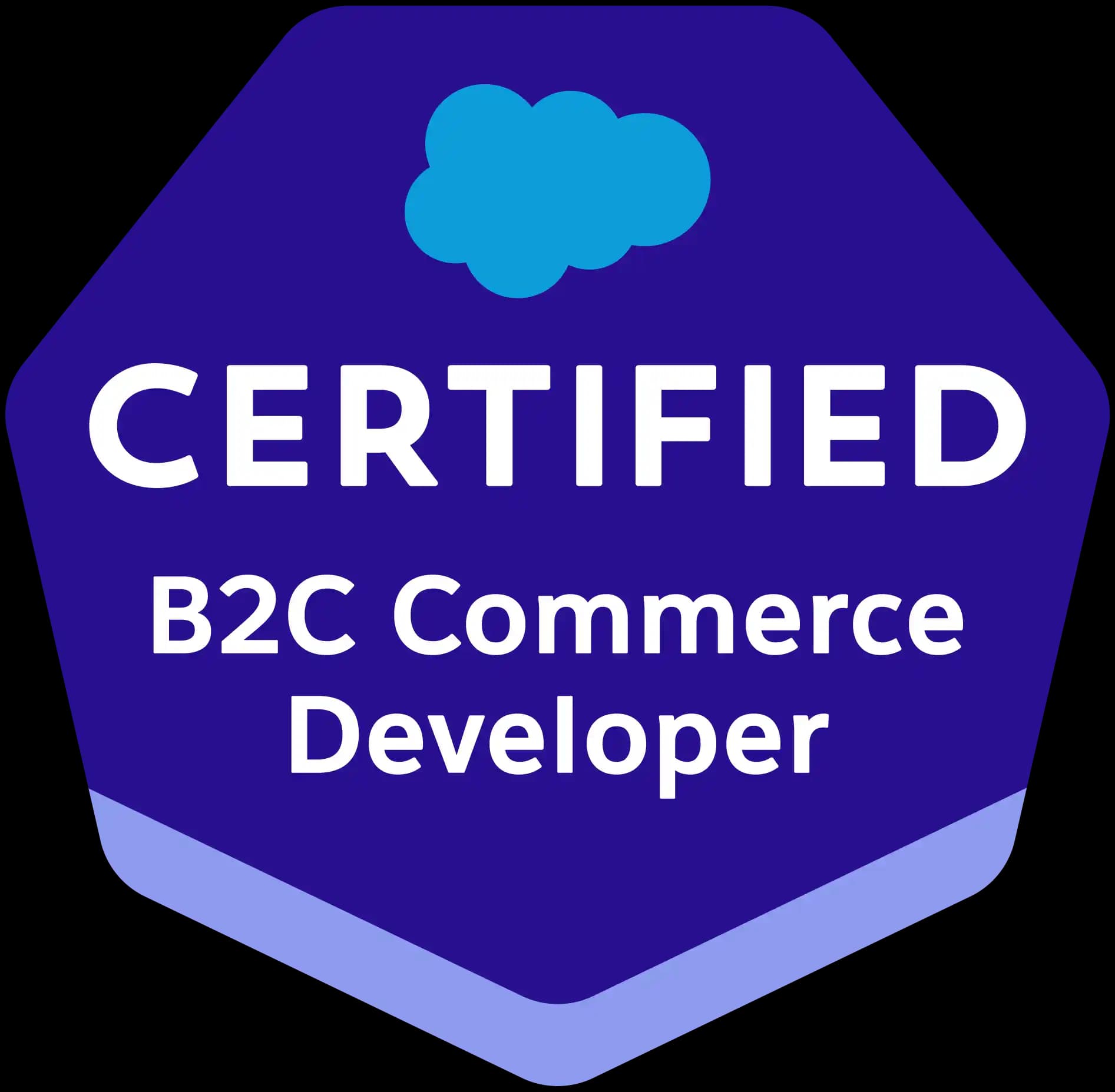 Salesforce B2C Commerce Developer