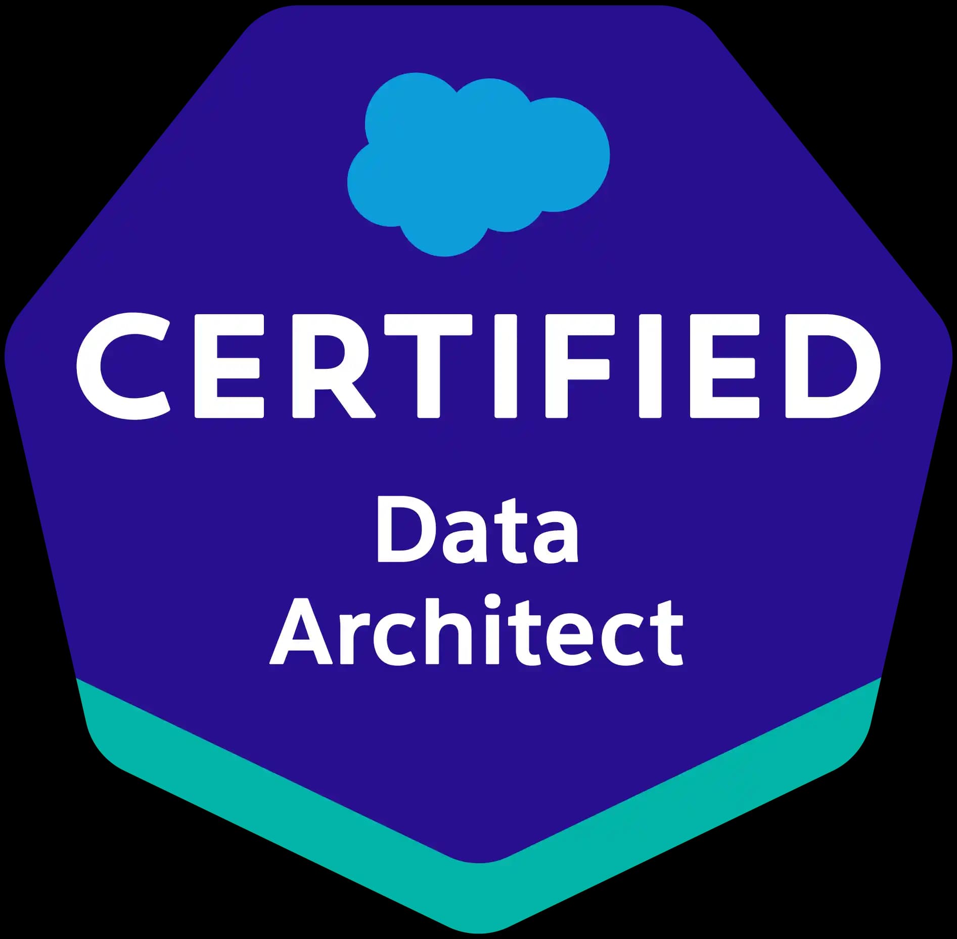 Salesforce Data Architect